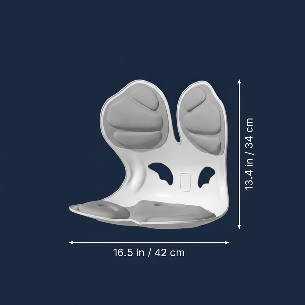 Pulvinar - Posture Support Chair Cushion dimension drawing
