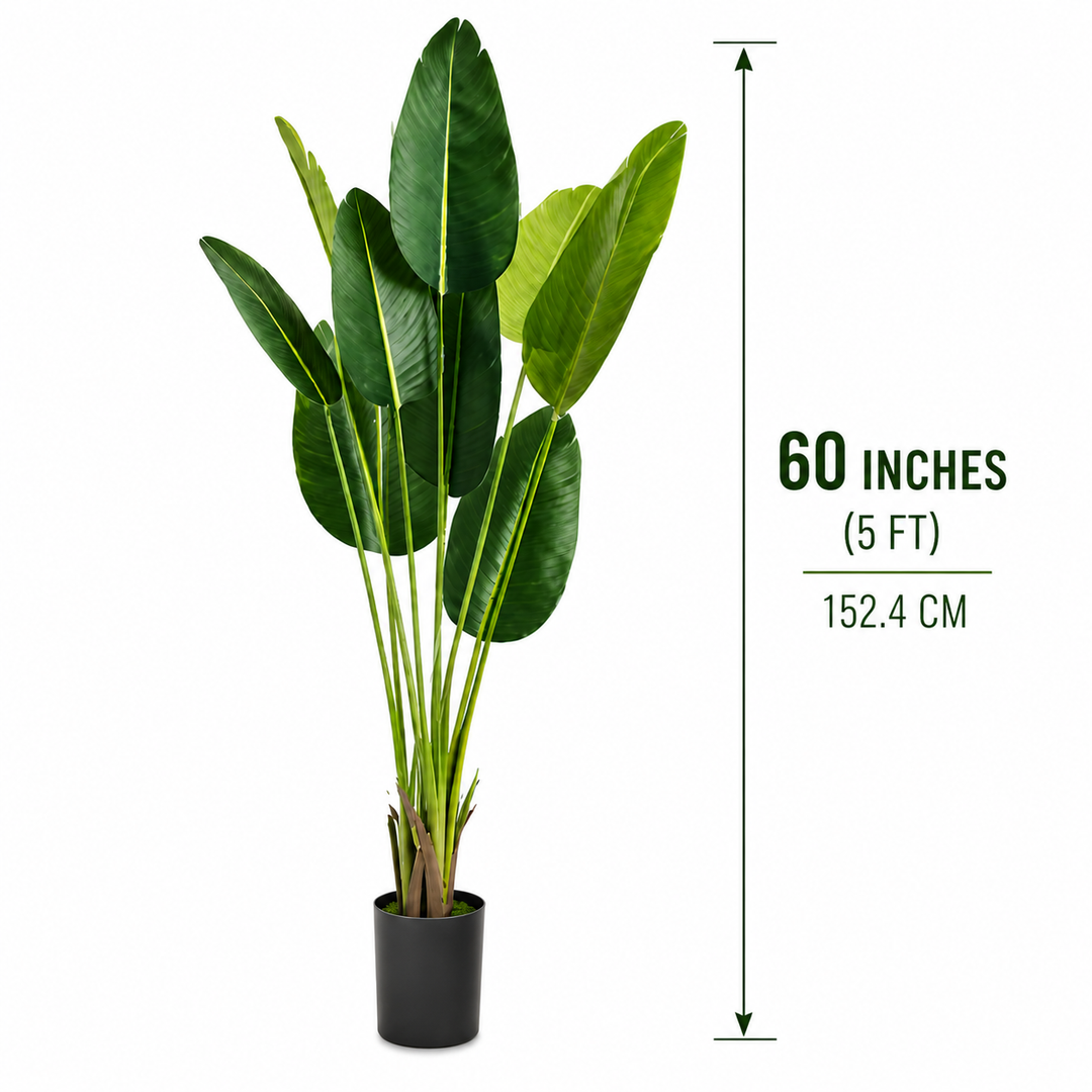 Sculptural Birds of Paradise Floor Plant - Modern Greenery Accent