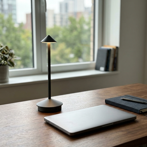 Alloy - Modernist Aluminum Desk Lamp - Cordless LED in black