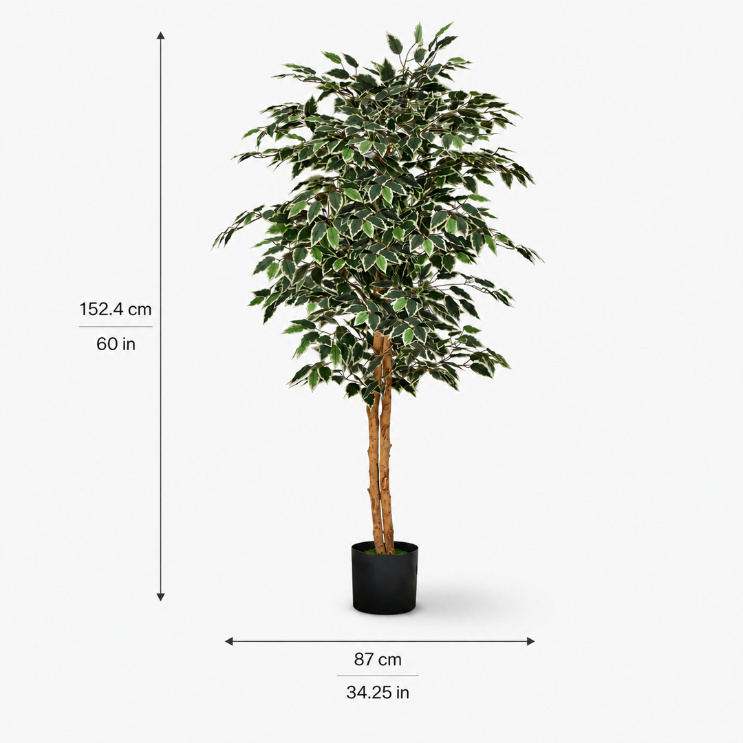 Artificial Ficus Tree - Modern Floor Greenery