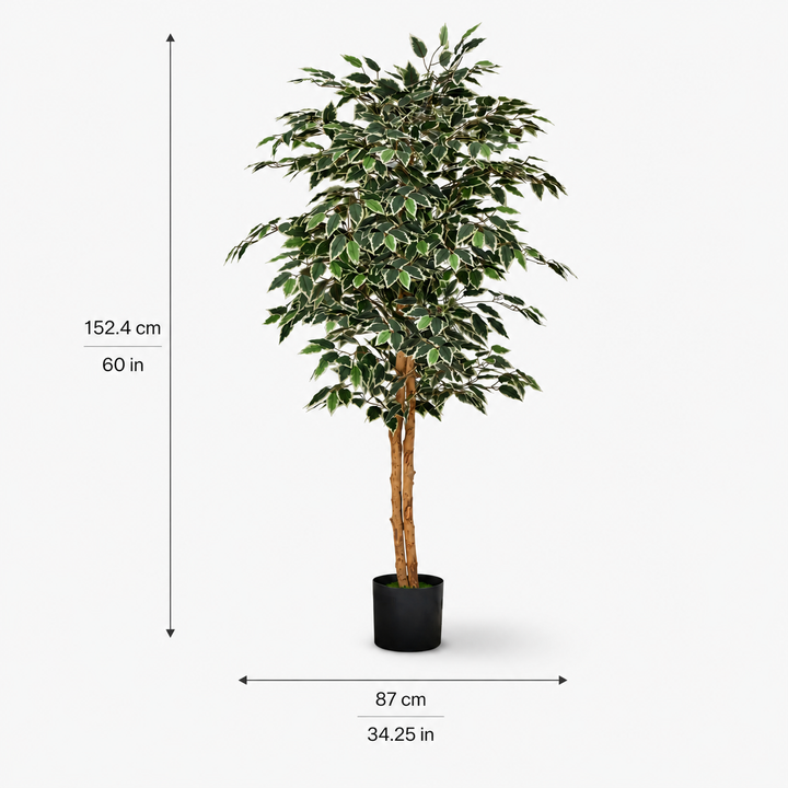 Artificial Ficus Tree - Modern Floor Greenery
