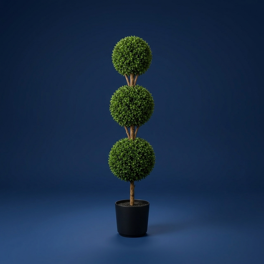 Buxus, Green that stays green