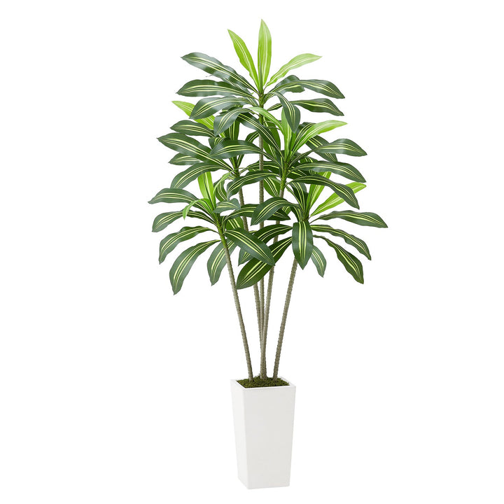 Artificial Dracaena Tree - Modern Floor Plant with White Planter