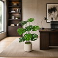 Artificial Monstera Plant Set (2 Piece), styled hero shot