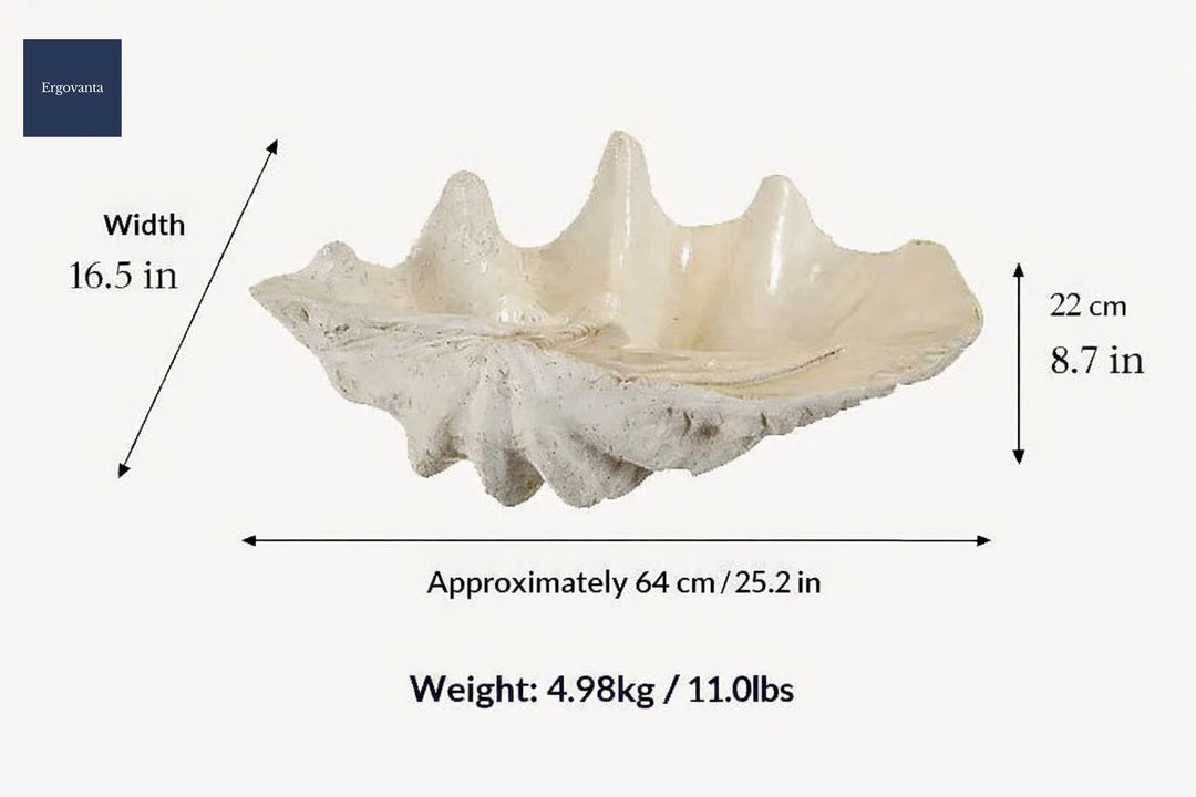 Conch Shell Desktop Ornament scene 1
