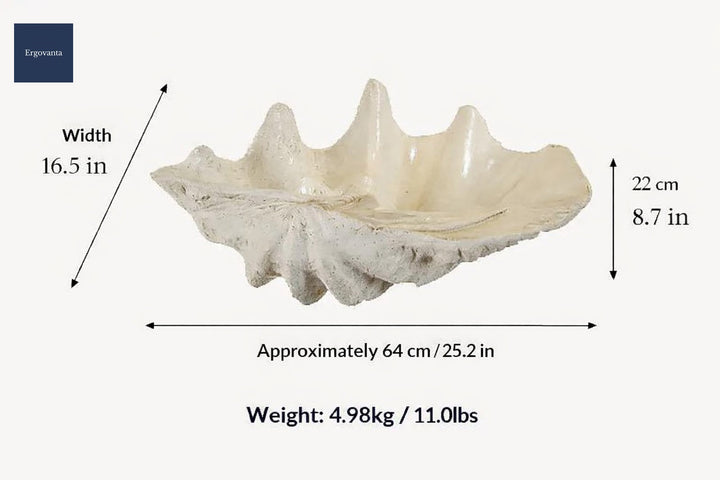 Conch Shell Desktop Ornament scene 1