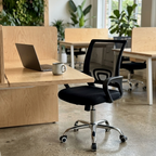 Mesh task chair at a light birch-ply desk in a bright modern coworking space