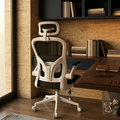 Black mesh ergonomic office chair in a private corporate office