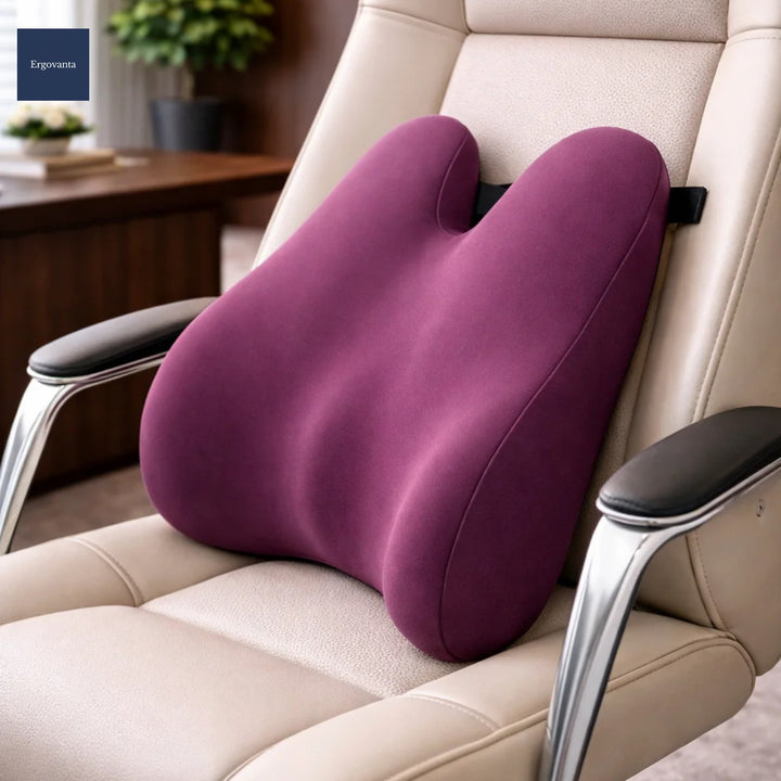 Memory Foam Lumbar Support Pillow - Ergonomic Office Back Cushion