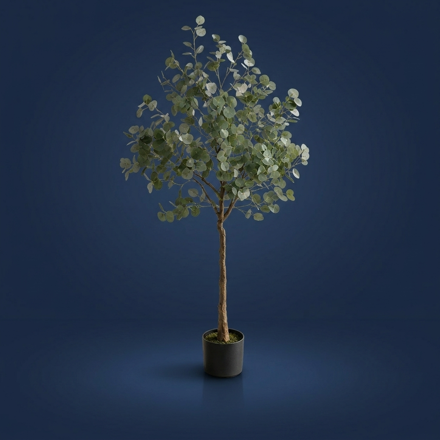 Eucalyptus, Branches you can shape