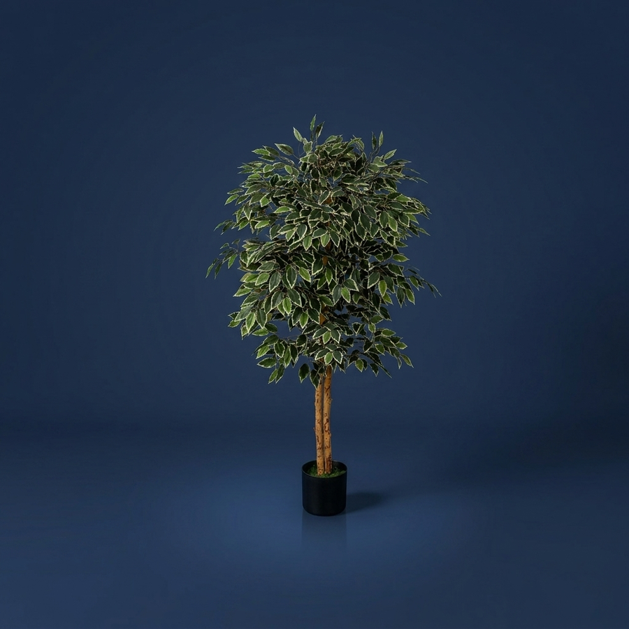 Ficus, Soft, realistic foliage