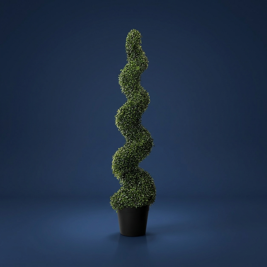 Hedge, Indoor or out, no watering