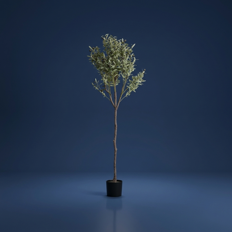 Olea, Real-looking detail