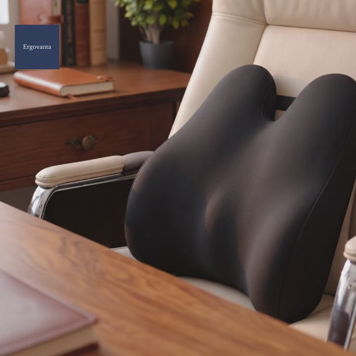Memory Foam Lumbar Support Pillow