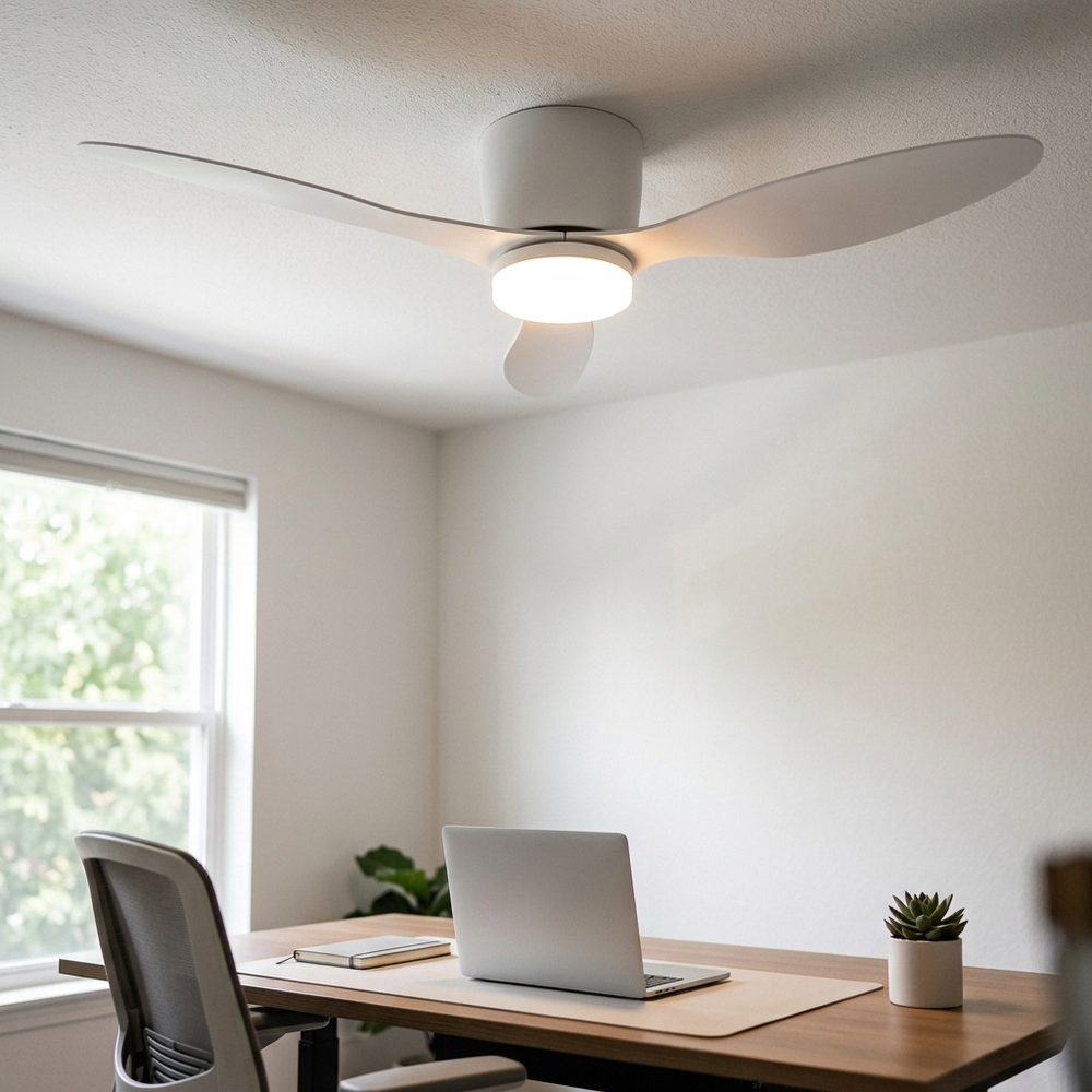 Zephyr in White, in a workspace