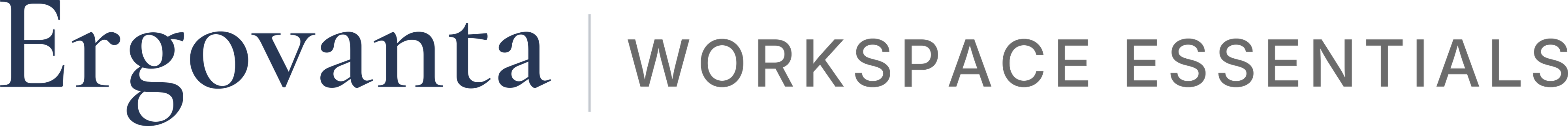 Ergovanta Workspace Essentials